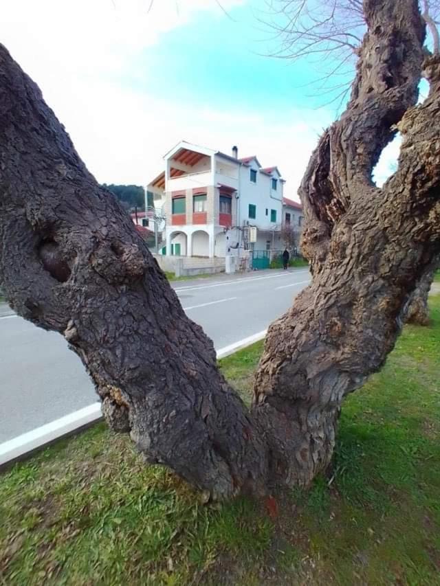 סקארדין Apartments Pulic מראה חיצוני תמונה